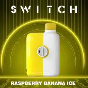 Mr Fog Switch 5500 Puffs Banana Raspberry Ice