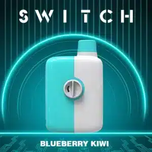 Mr Fog Switch 5500 Puffs Blueberry Kiwi
