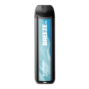 Blueberry Mint Breeze Pro 6ml 2000 Puffs Disposable Vape Device