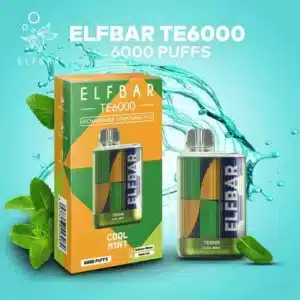 Cool Mint - Elf Bar TE6000 Disposable Vape - 6000 Puffs
