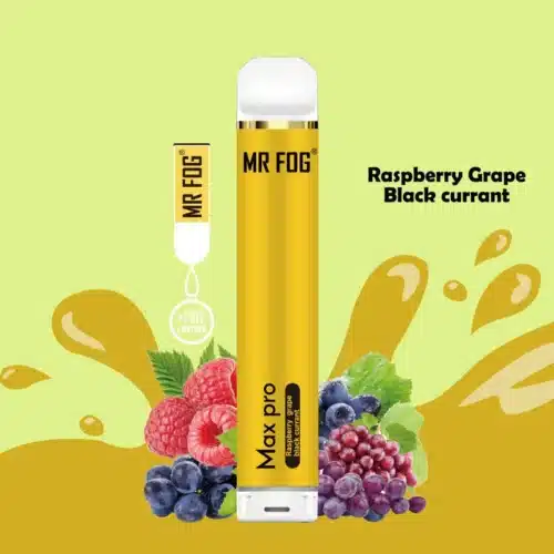 MR FOG MAX PRO 2000 PUFFS - Raspberry Grape Black Currant