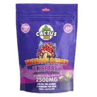 Blueberry Cactus Labs Amanita Muscara Mushroom Gummies 2500mg