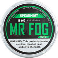 MOIST - SPEARMINT - MR FOG NICOTINE POUCHES 8MG - 20CT/5PK