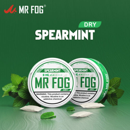 DRY - SPEARMINT - MR FOG NICOTINE POUCHES 8MG - 20CT/5PK