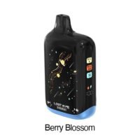 Berry Blossom - Orion Bar 50K Puffs Ice-Nic Control Disposable Vape