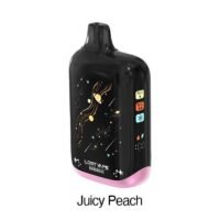 Juicy Peach - Orion Bar 50K Puffs Ice-Nic Control Disposable Vape